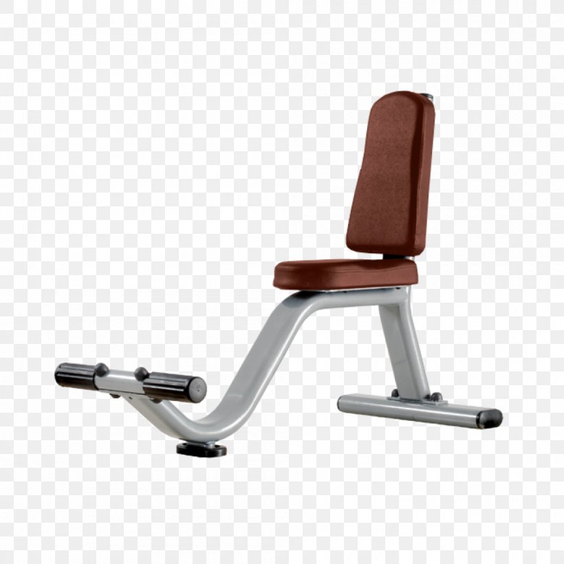 Exercise Equipment Bench Fitness Centre, PNG, 1000x1000px, Exercise Equipment, Aerobics, Armrest, Bench, Bench Press Download Free