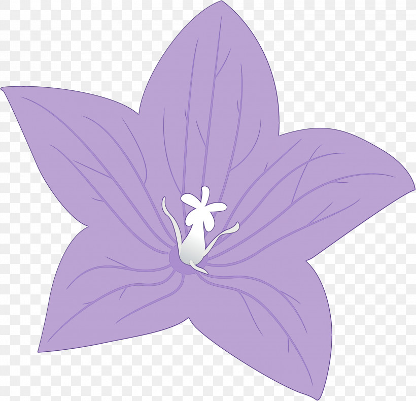 Lavender, PNG, 3000x2891px, Balloon Flower, Biology, Flora, Flower, Lavender Download Free
