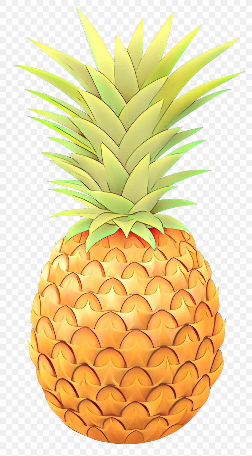Clip Art Pineapple Vector Graphics Juice, PNG, 1657x3000px, Pineapple, Ananas, Bromeliaceae, Food, Fruit Download Free