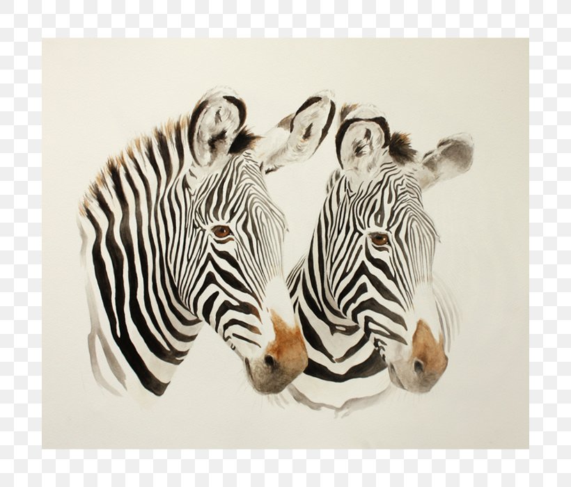 Quagga Cat Zebra Wildlife Portrait, PNG, 700x700px, Quagga, Artist, Bbc, Big Cat, Big Cats Download Free