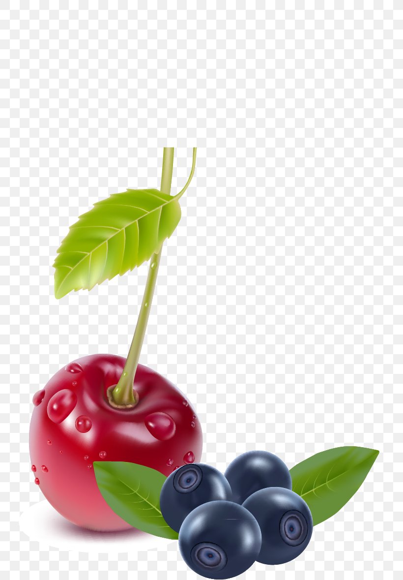 Cherry Berry Fruit, PNG, 744x1179px, Cherry, Auglis, Berry, Blueberry, Dewberry Download Free