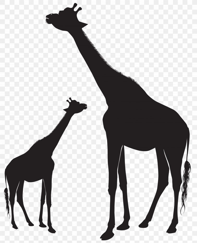 Giraffe Silhouette Animal Mammal Horse, PNG, 6495x8000px, Giraffe, Art, Black And White, Cartoon, Giraffidae Download Free