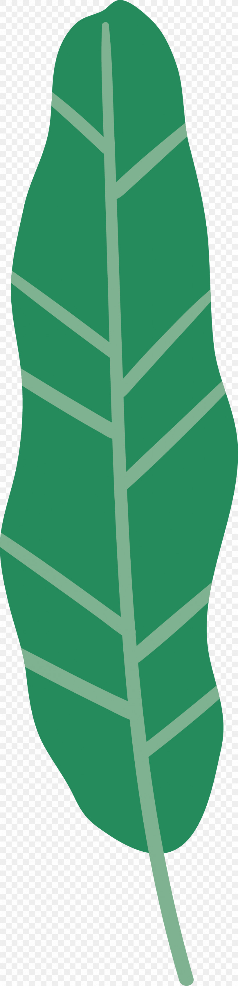 Leaf, PNG, 986x4087px, Leaf, Biology, Green, Line, Plant Structure Download Free