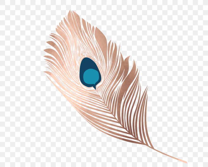 Feather Material Eye, PNG, 885x712px, Feather, Closeup, Eye, Eyelash, Material Download Free