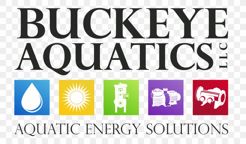 Newcastle Service Business Buckeye Aquatics, LLC Columbus, PNG, 1916x1122px, Newcastle, Accountant, Accounting, Area, Audit Download Free