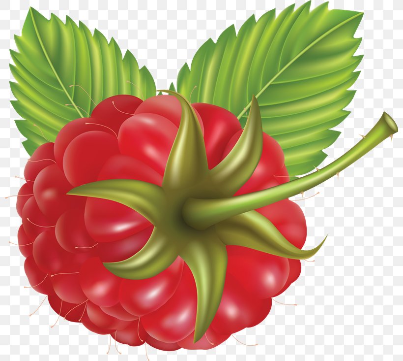 Raspberry Clip Art, PNG, 800x733px, Raspberry, Berry, Blackberry, Brambles, Food Download Free