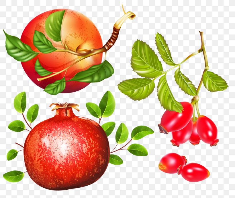 Apple Herb Pomegranate, PNG, 800x689px, Apple, Diet Food, Food, Fruit, Herb Download Free