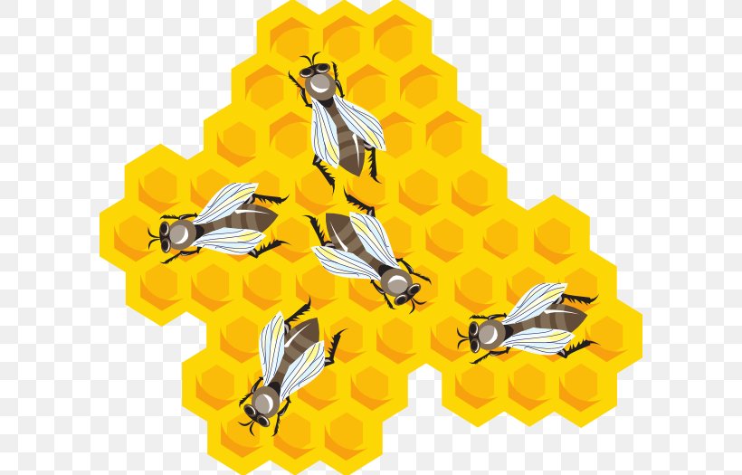 Beehive Comb Beekeeping Hairstyle, PNG, 600x525px, Bee, Apiary, Beehive, Beekeeping, Beeswax Download Free