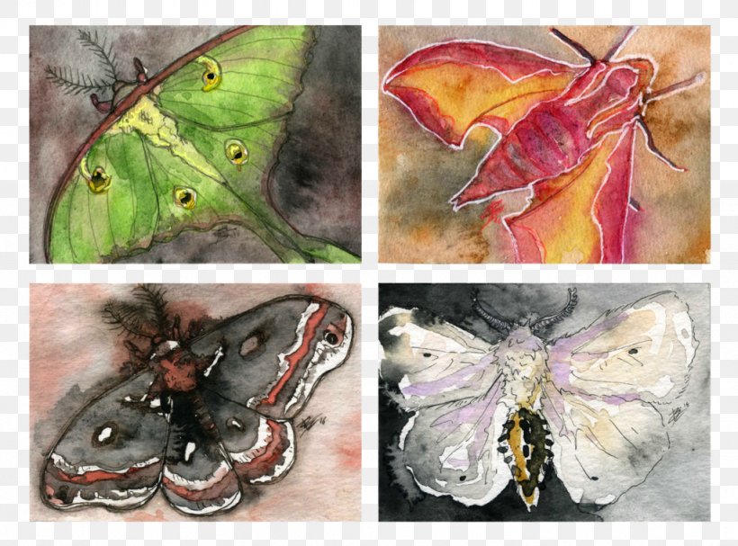Brush-footed Butterflies Silkworm Butterfly Painting Butterflies And Moths, PNG, 1024x759px, Brushfooted Butterflies, Arthropod, Bombycidae, Brush Footed Butterfly, Butterflies And Moths Download Free