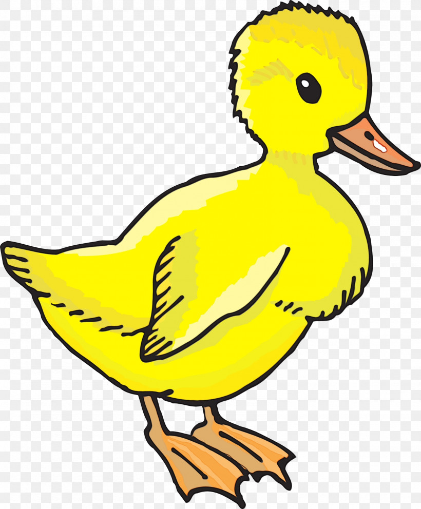 Duck Water Bird Birds Beak Yellow, PNG, 1587x1920px, Watercolor, Beak, Biology, Birds, Duck Download Free