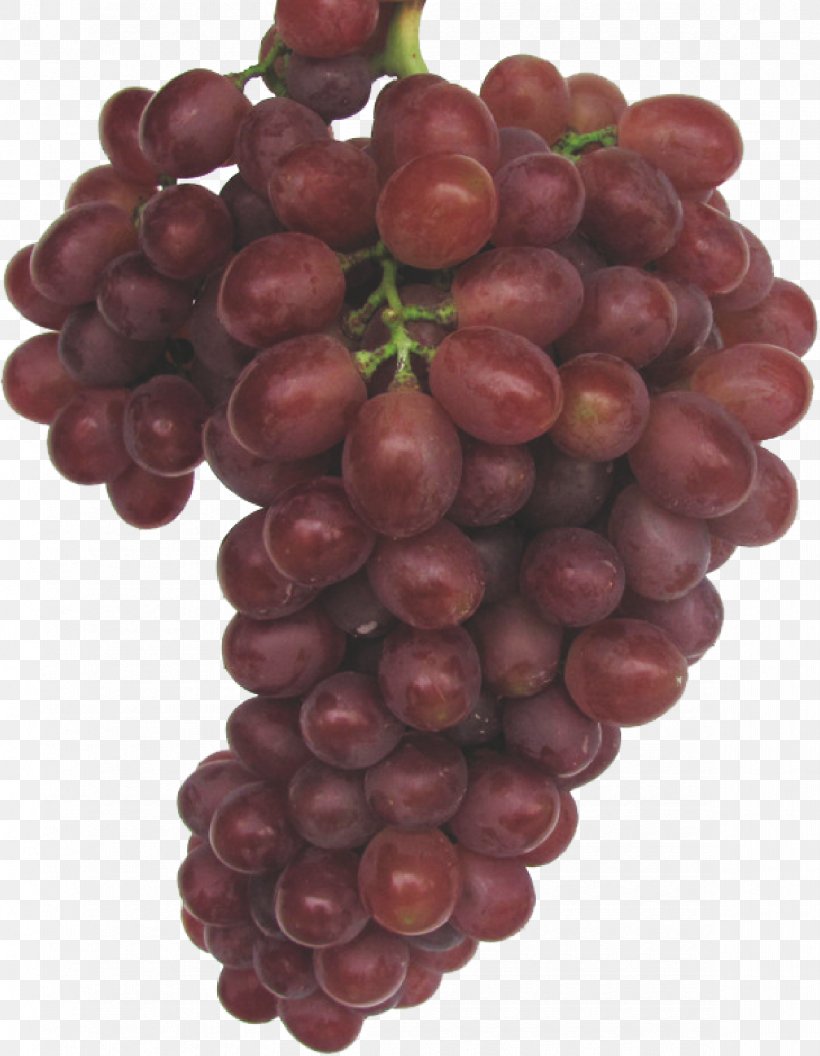 Kyoho Grape, PNG, 1175x1514px, Kyoho, Amorodo, Common Grape Vine, Concepteur, Food Download Free