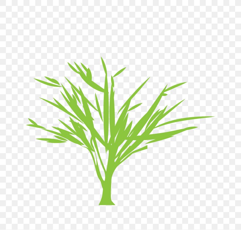 Tree Silhouette Euclidean Vector Green, PNG, 670x781px, Tree, Branch, Commodity, Grass, Grass Family Download Free
