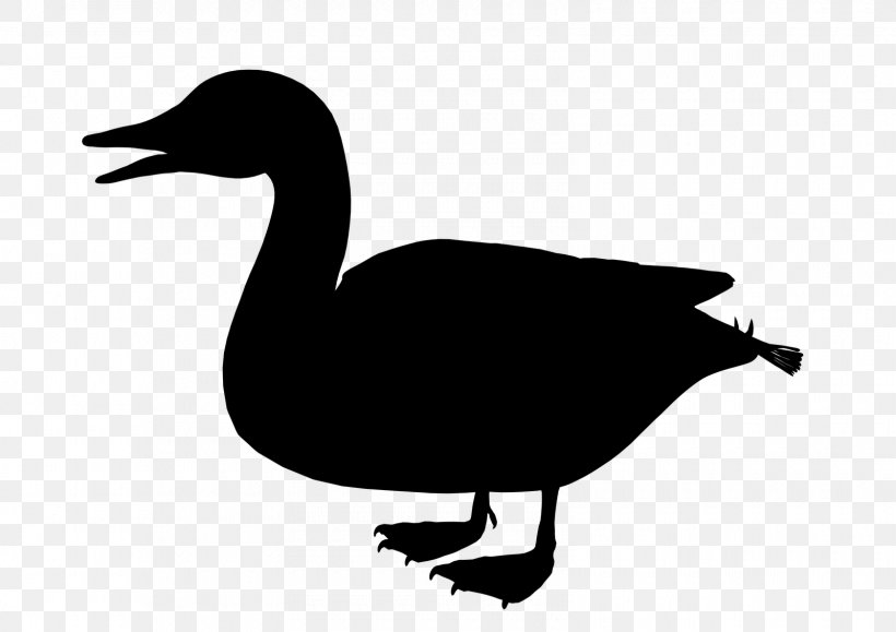 Duck Goose Clip Art Fowl Fauna, PNG, 1600x1131px, Duck, American Black Duck, Beak, Bird, Blackandwhite Download Free