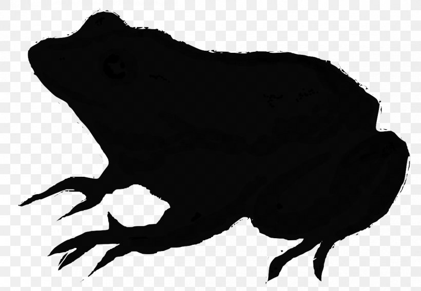 Fauna Silhouette Carnivores Beak Black M, PNG, 1209x838px, Fauna, Amphibian, Beak, Black, Black M Download Free