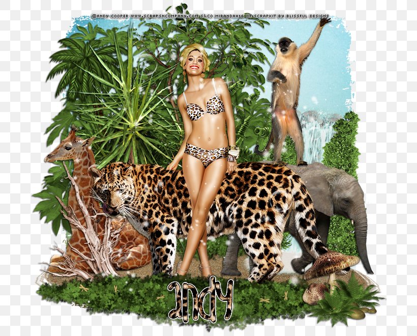 Leopard Jaguar Cheetah Terrestrial Animal, PNG, 700x660px, Leopard, Animal, Big Cats, Carnivoran, Cat Like Mammal Download Free