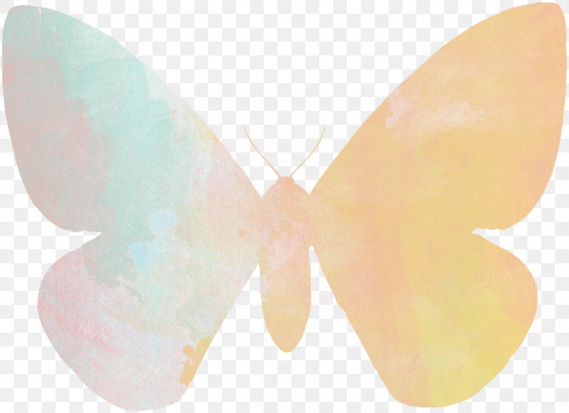 Moth, PNG, 833x606px, Moth, Butterfly, Insect, Invertebrate, Moths And Butterflies Download Free