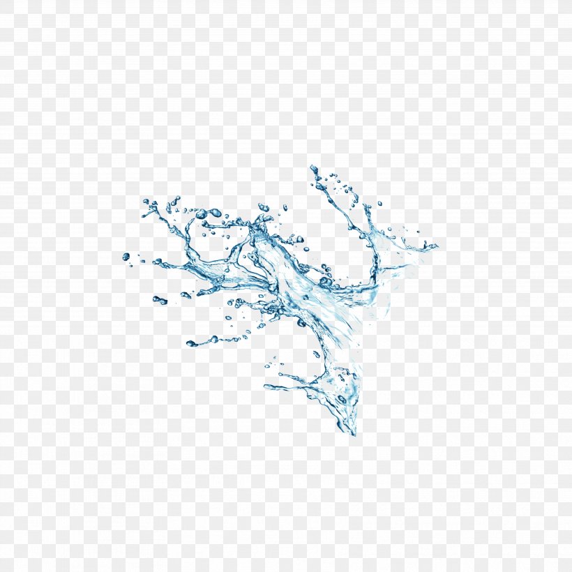 Water Download Splash, PNG, 3543x3543px, Water, Area, Blue, Branch, Drop Download Free