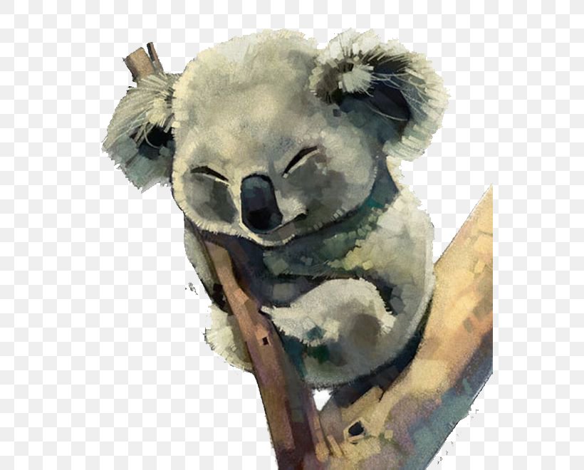 Australia Koala Watercolor Painting, PNG, 564x660px, Australia, Acrylic Paint, Art, Cuteness, Drawing Download Free