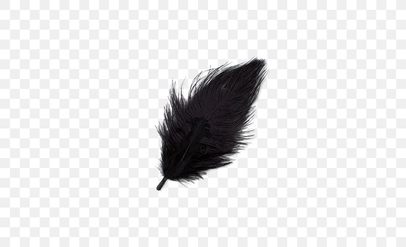 Feather Light Hewlett-Packard Toner, PNG, 500x500px, Feather, Black, Black And White, Hewlettpackard, Ink Download Free