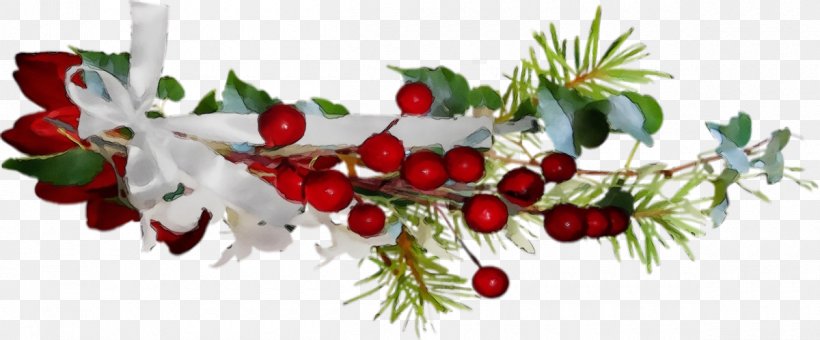 Christmas Decoration, PNG, 1200x498px, Christmas Ornaments, Berry, Branch, Christmas, Christmas Decoration Download Free