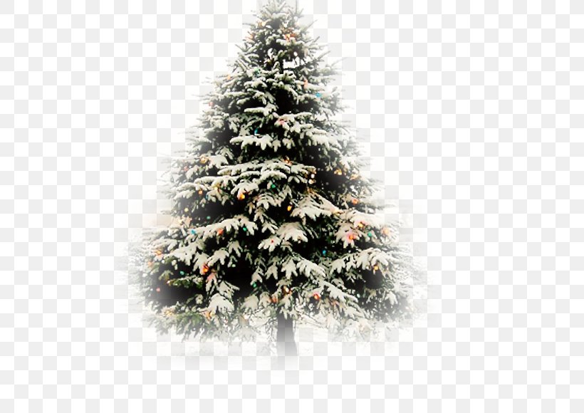 Christmas Tree Fir Christmas Card, PNG, 650x580px, Christmas Tree, Birthday, Chef, Christmas, Christmas Card Download Free