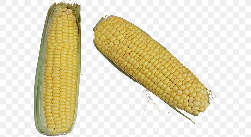 Corn On The Cob Maize Food Corn Kernel, PNG, 600x448px, Corn On The Cob, Commodity, Corn Kernel, Corn Kernels, Depositfiles Download Free
