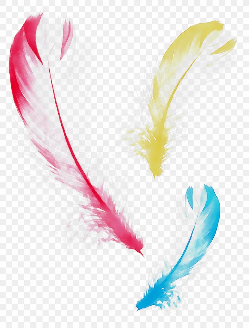 Feather Beak, PNG, 1167x1536px, Feather, Beak, Quill, Wing, Writing Implement Download Free