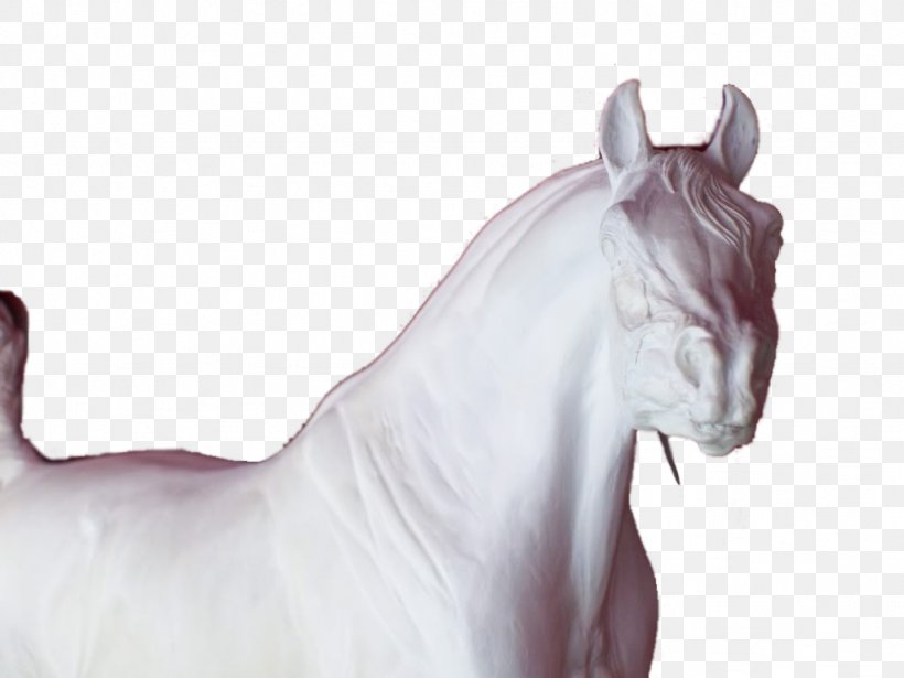 Arabian Horse American Quarter Horse Mane Stallion Mustang, PNG, 1024x768px, Arabian Horse, American Quarter Horse, Eternal Life, Fictional Character, Gelding Download Free