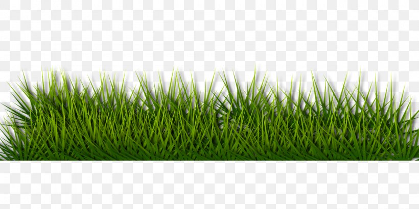 Lawn Mowers Artificial Turf Garden, PNG, 1280x640px, Lawn, Aeration, Artificial Turf, Commodity, Dethatcher Download Free