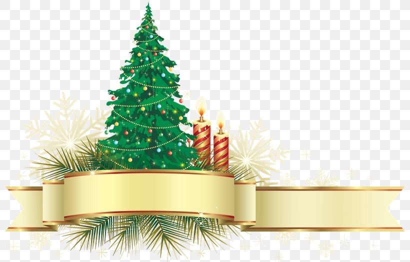 Christmas Tree Christmas Ornament Christmas Decoration, PNG, 800x524px, Christmas Tree, Christmas, Christmas Decoration, Christmas Ornament, Conifer Download Free