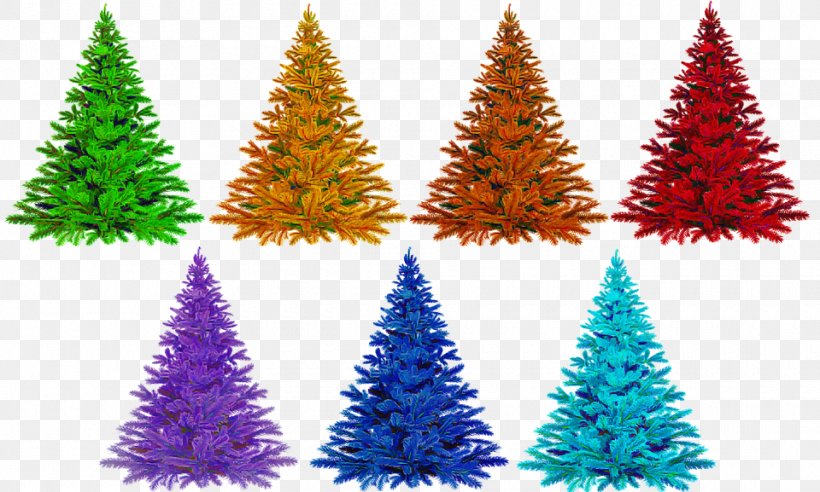 Christmas Tree, PNG, 960x577px, Shortleaf Black Spruce, American Larch, Biome, Christmas Decoration, Christmas Tree Download Free
