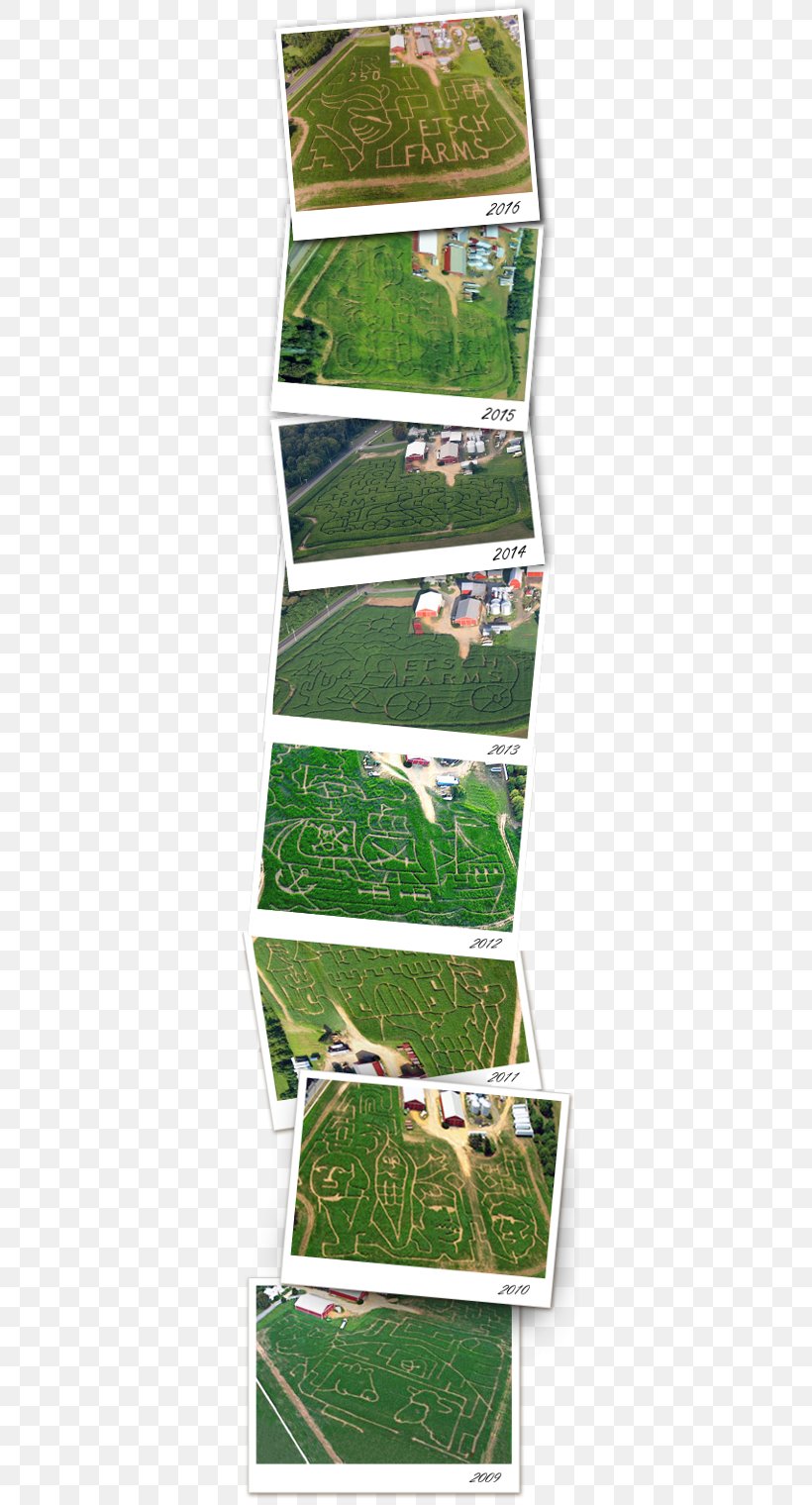 Etsch Farms Corn Maze Hayride Haunted Attraction, PNG, 350x1520px, Farm, Celebrity, Corn Maze, Grass, Grass Family Download Free