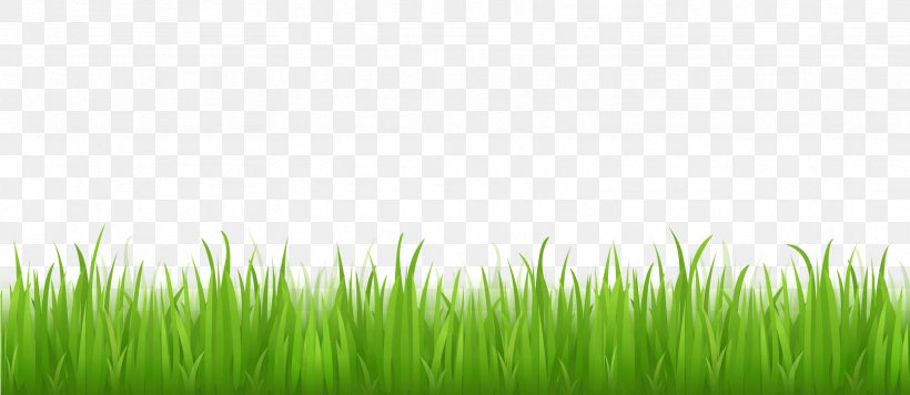 Lawn Desktop Wallpaper Clip Art, PNG, 1667x724px, Lawn, Commodity, Field, Grass, Grass Family Download Free