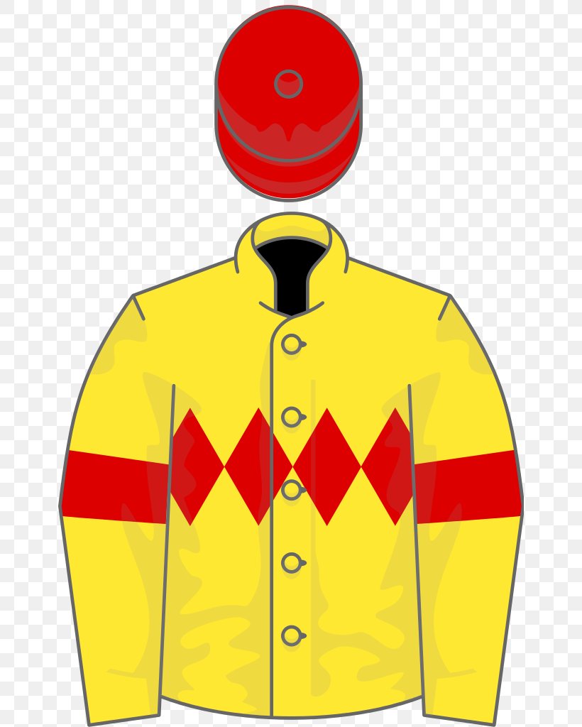 Thoroughbred St Leger Stakes Bet365 Gold Cup Horse Racing, PNG, 656x1024px, Thoroughbred, Bet365 Gold Cup, Clothing, Filly, Horse Download Free