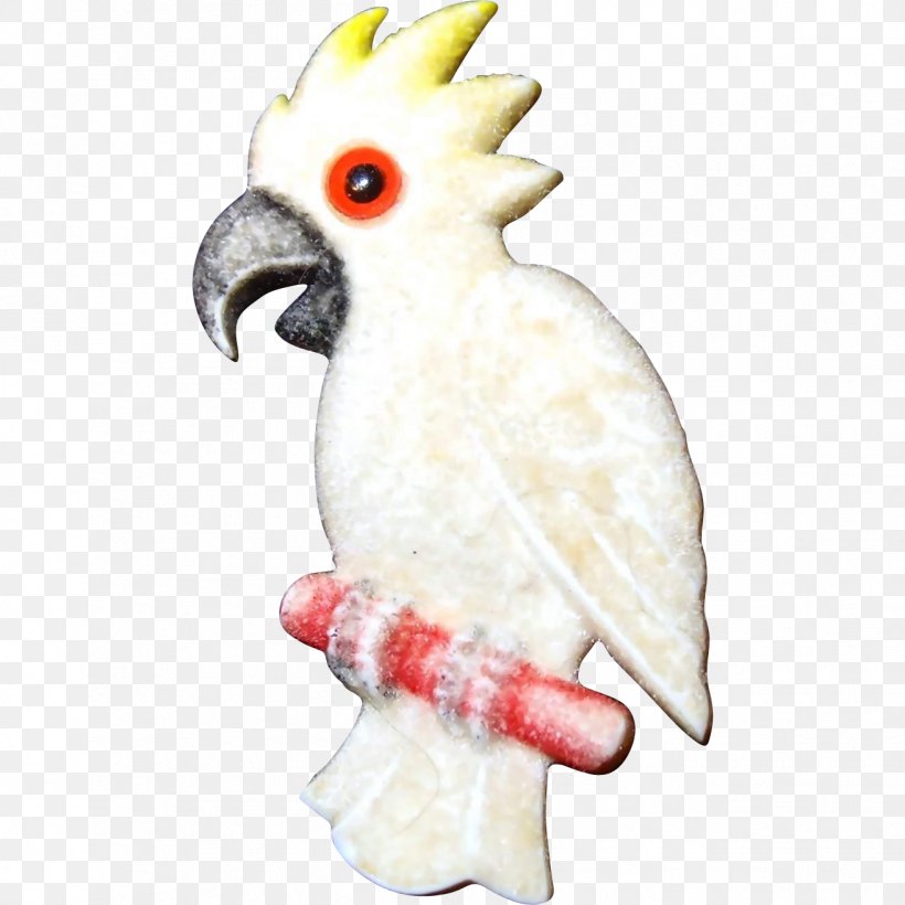 Cockatiel Bird Sulphur-crested Cockatoo Pet, PNG, 1313x1313px, Cockatiel, Animal, Beak, Bird, Chicken Download Free