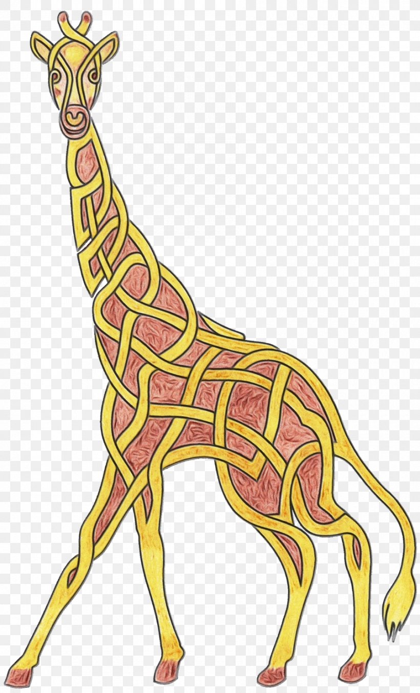Giraffe Cartoon, PNG, 900x1486px, Giraffe, Animal, Animal Figure, Giraffidae, Line Art Download Free