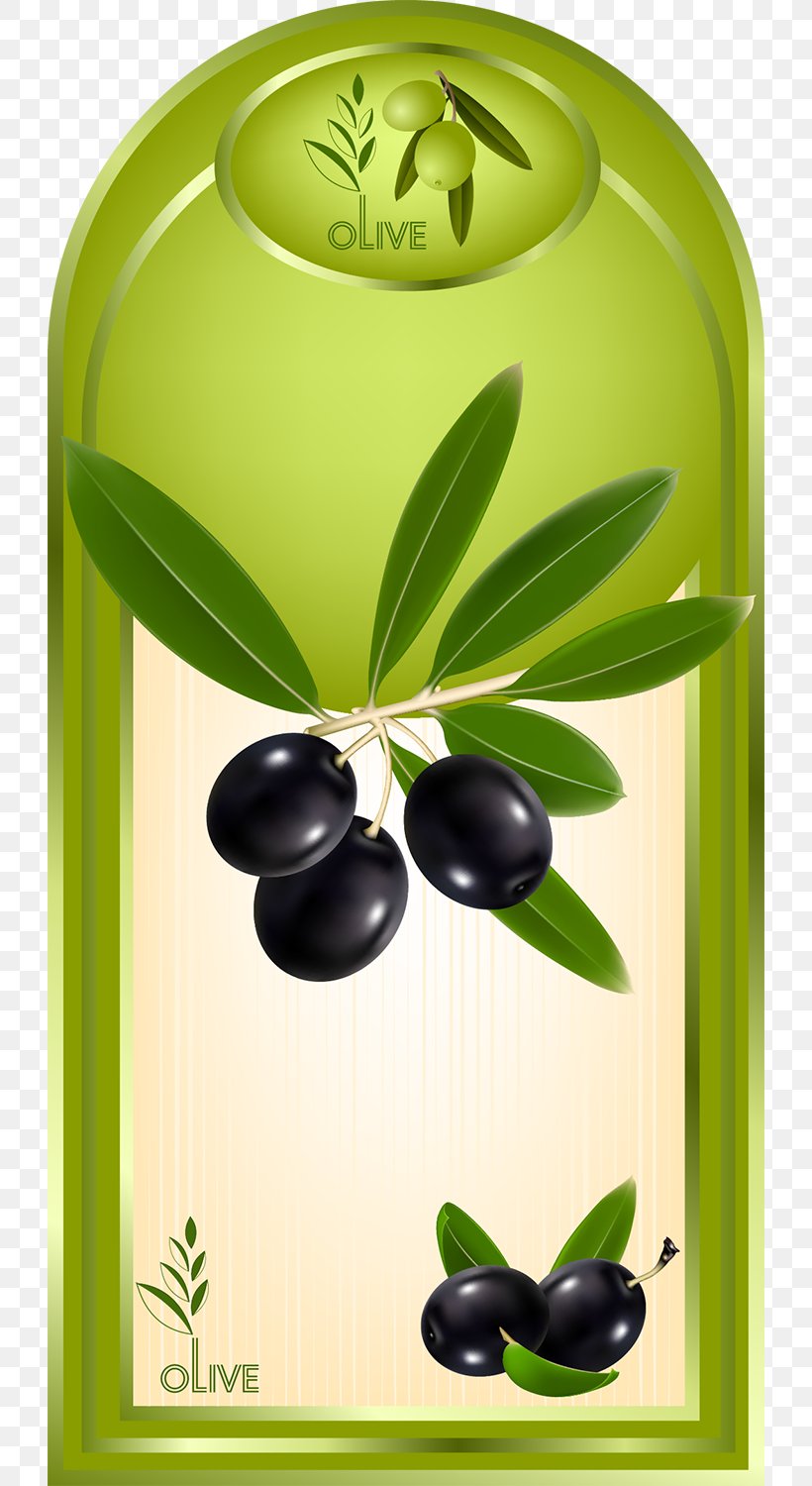 Olive Oil Label, PNG, 724x1500px, Olive, Fruit, Label, Liquid, Oil Download Free