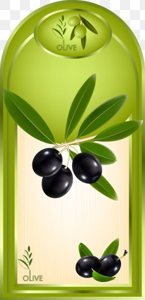 Olives - Olive Oil Label PNG