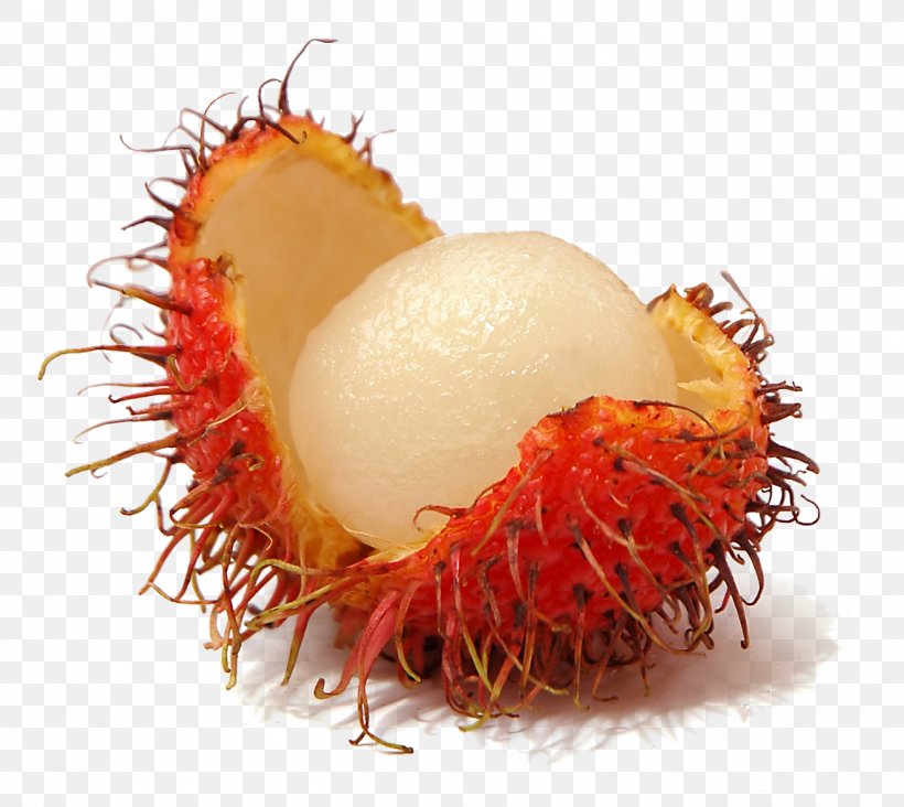Rambutan Fruit Pitaya, PNG, 1302x1163px, Rambutan, Banana Passionfruit, Carambola, Dried Fruit, Durian Download Free