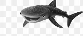 Shark - Requiem Sharks Marine Mammal Marine Biology Wildlife PNG