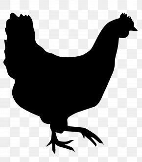 Download Rooster Clip Art Chicken Silhouette Vector Graphics Png 640x480px Rooster Art Blackandwhite Chicken Coloring Book Download Free