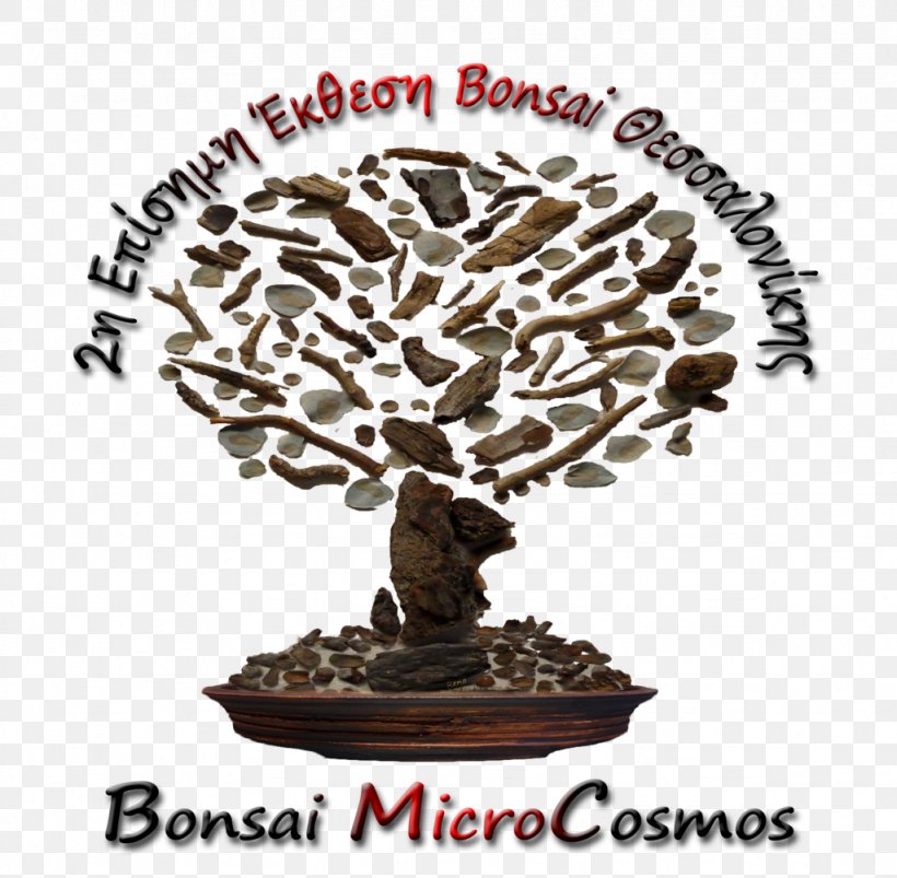 Bonsai Photography Tree Technology Blog, PNG, 1024x1004px, Bonsai, Blog, Houseplant, Photography, Plant Download Free