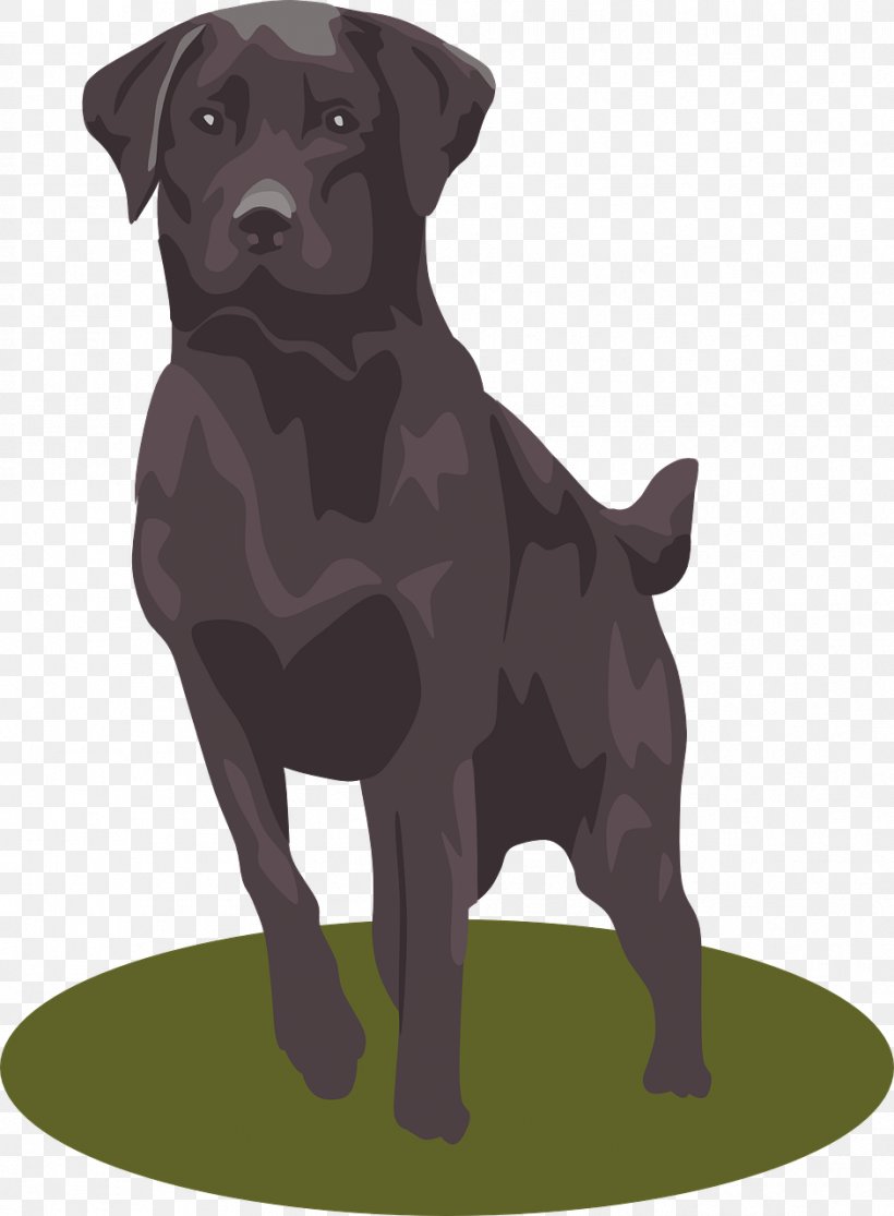 Labrador Retriever Puppy Clip Art, PNG, 941x1280px, Labrador Retriever, Borador, Carnivoran, Companion Dog, Dog Download Free