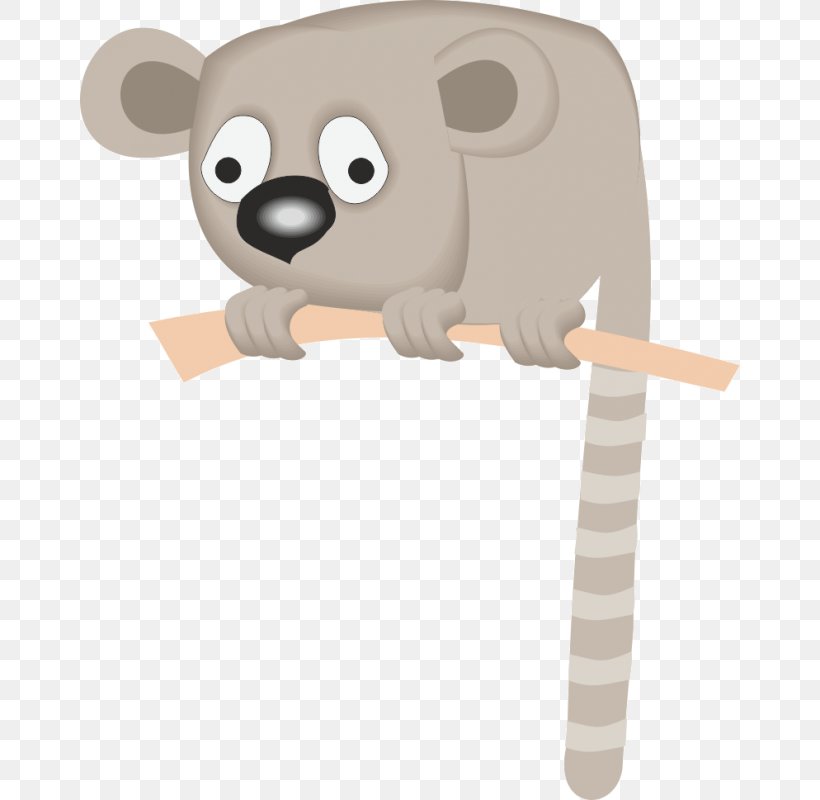 Lemurs Vector Graphics Cartoon Ring-tailed Lemur, PNG, 800x800px, Lemurs, Animal, Bear, Carnivoran, Cartoon Download Free