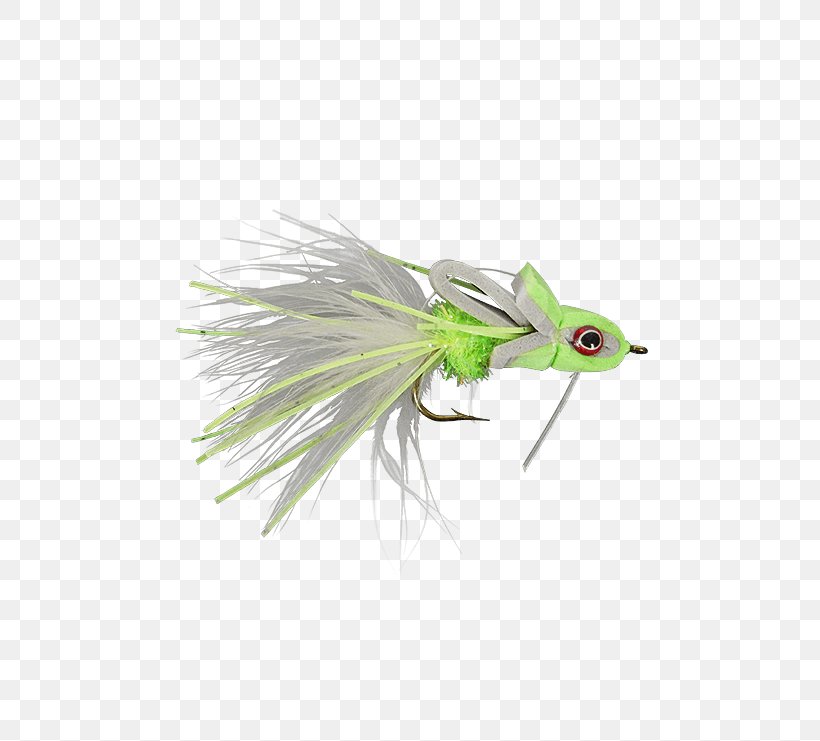 Artificial Fly Holly Flies Chartreuse Striped Bass Stock Keeping Unit, PNG, 555x741px, Artificial Fly, Bluefish, Chartreuse, Email, Feather Download Free