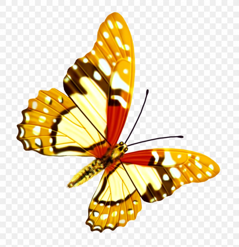 Butterfly, PNG, 938x969px, Butterfly, Arthropod, Brush Footed Butterfly, Color, Insect Download Free