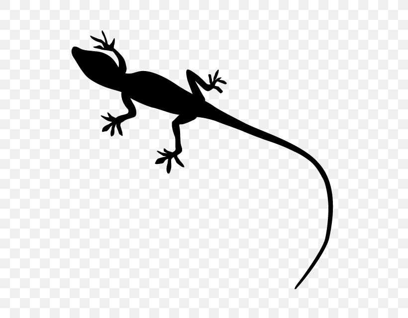 Gecko Lizard Reptile Silhouette, PNG, 640x640px, Gecko, Animal, Black And White, Branch, Fauna Download Free
