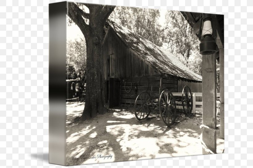 Tree, PNG, 650x547px, Tree, Barn, Black And White, History, Home Download Free