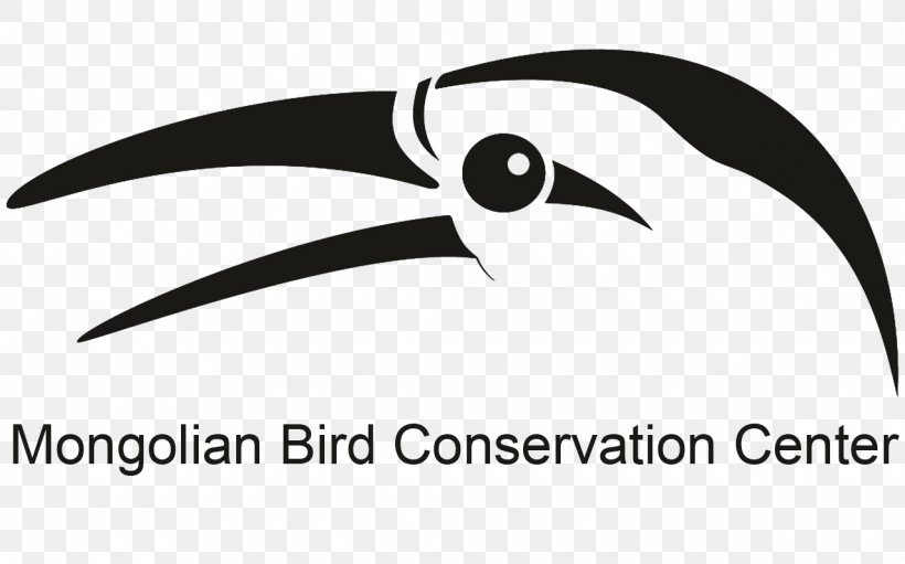 Bird Conservation Beak Relict Gull, PNG, 1280x799px, Bird, Beak, Bird Conservation, Bird Migration, Black And White Download Free