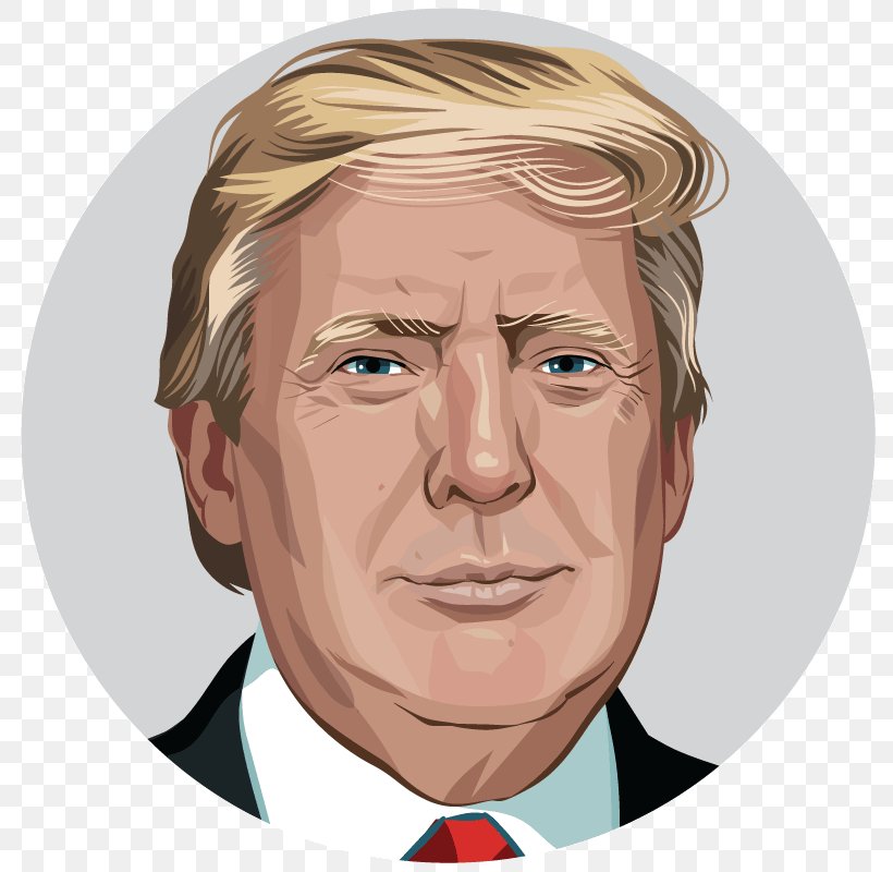 Donald Trump 2017 Presidential Inauguration Fact Checker United States The Washington Post, PNG, 800x800px, Donald Trump, Art, Cartoon, Cheek, Chin Download Free